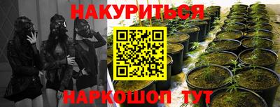 дмт Пенза